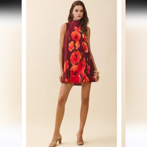 Altar'd State TCEC Nayeli Mock Neck Swing Mini Dress - Picture 2 of 8